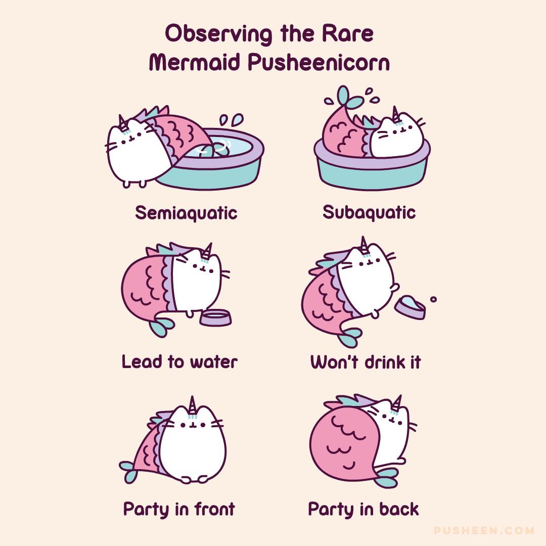 Observing_The_Rare_Mermaid_Pusheenicorn.gif