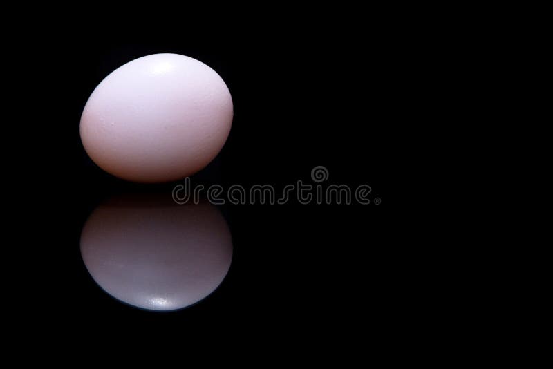 65,982 White Egg Black Background Stock Photos - Free & Royalty-Free Stock  Photos from Dreamstime