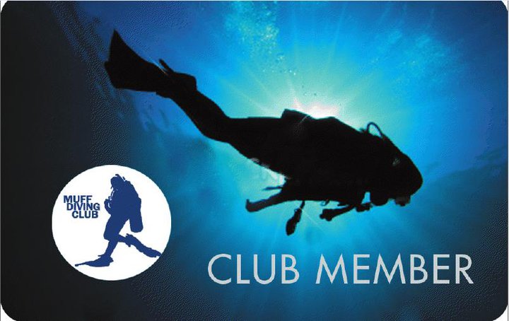 www.muffdivingclub.ie