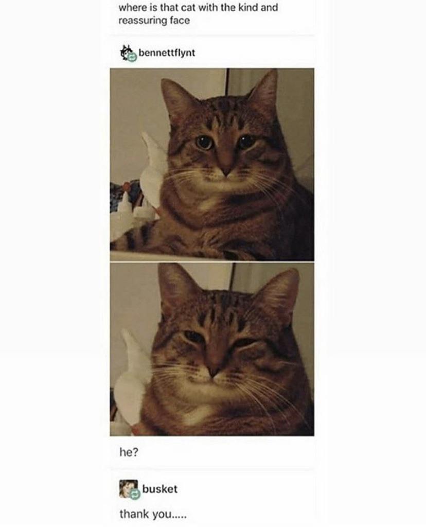 vhhu5rg1wuv51.jpg