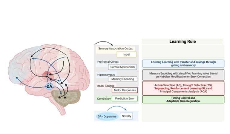neurosciencenews.com
