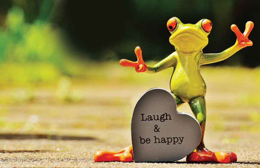 happyfrog.jpg_1504936920.jpg