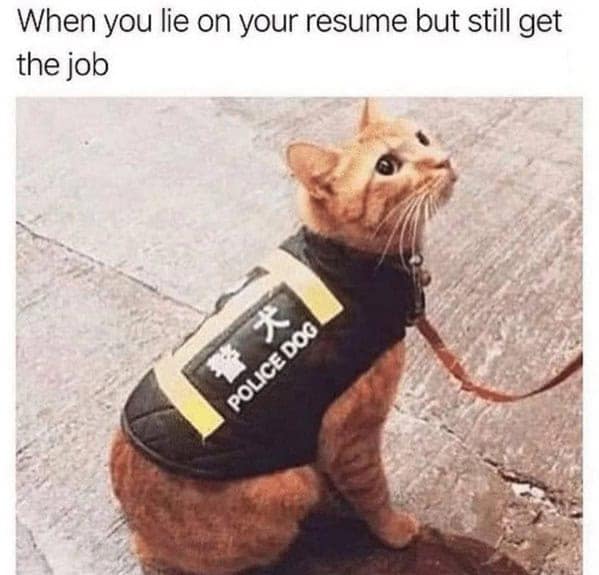 classic-memes-44-20250310.jpg