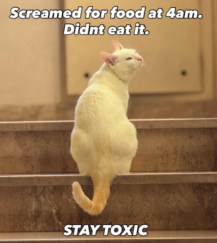 screamed-food-at-4am-didnt-eat-stay-toxic