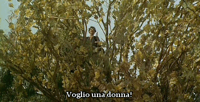 tumblr_nf4pcwzRNn1rfd7lko1_400.gifv