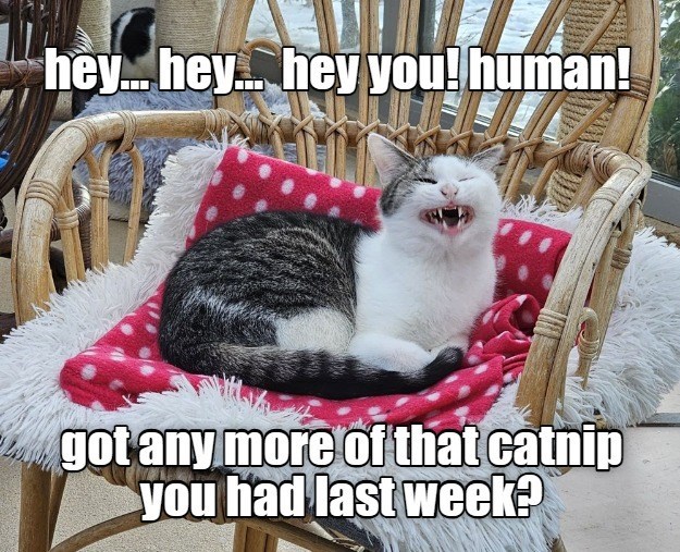im-talking-to-you