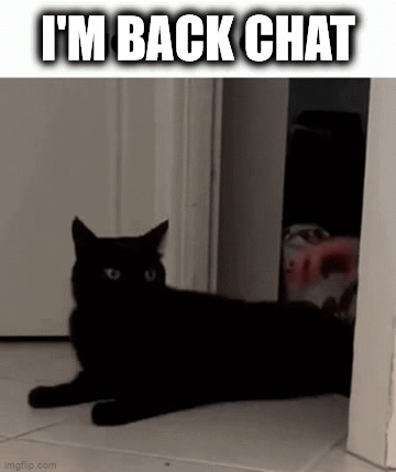 74zgwq.gif