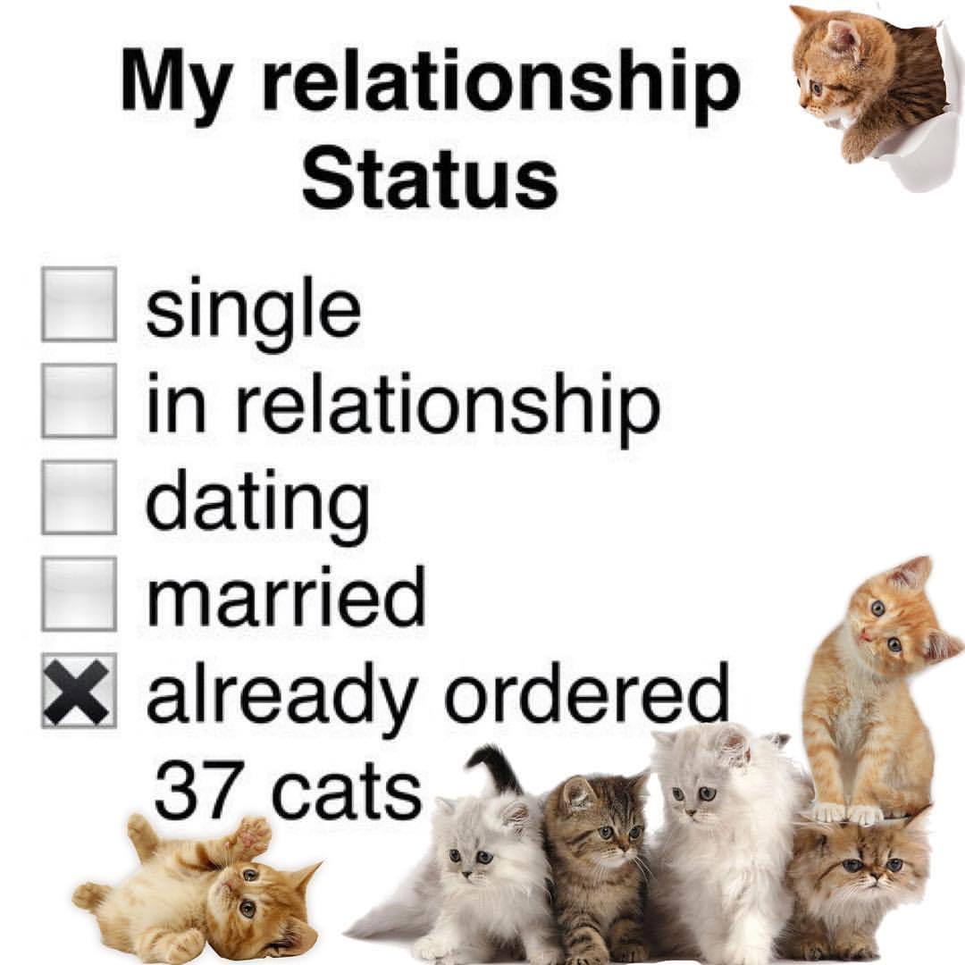 tumblr_oy1x37QWFu1tfjxdjo1_1280.jpg
