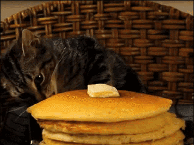 nom-nom-pancake.gif