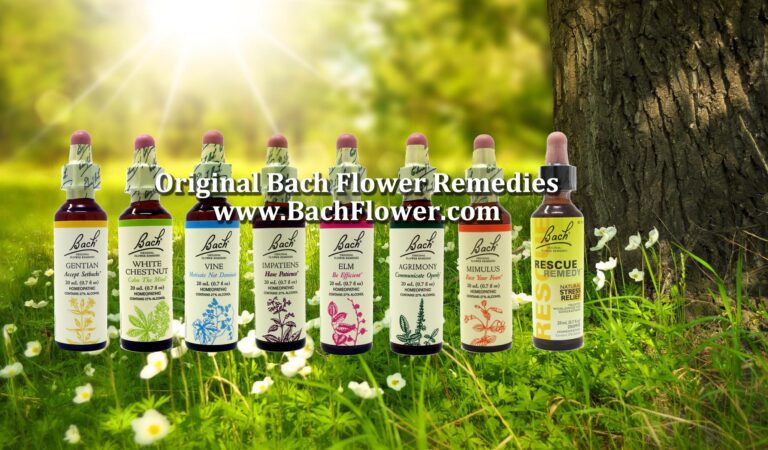 www.bachflower.com