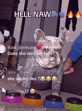 hell-naw-dog.gif