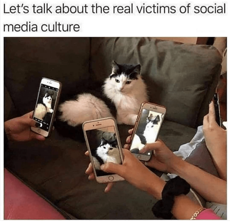 lets-talk-about-real-victims-social-media-culture