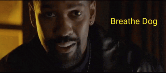 training-day-gif-file-2139kb-ikx96zagskgo0yiu.gif