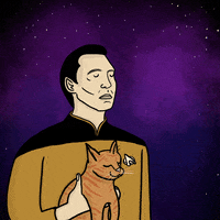 Lying Star Trek GIF by Giflytics