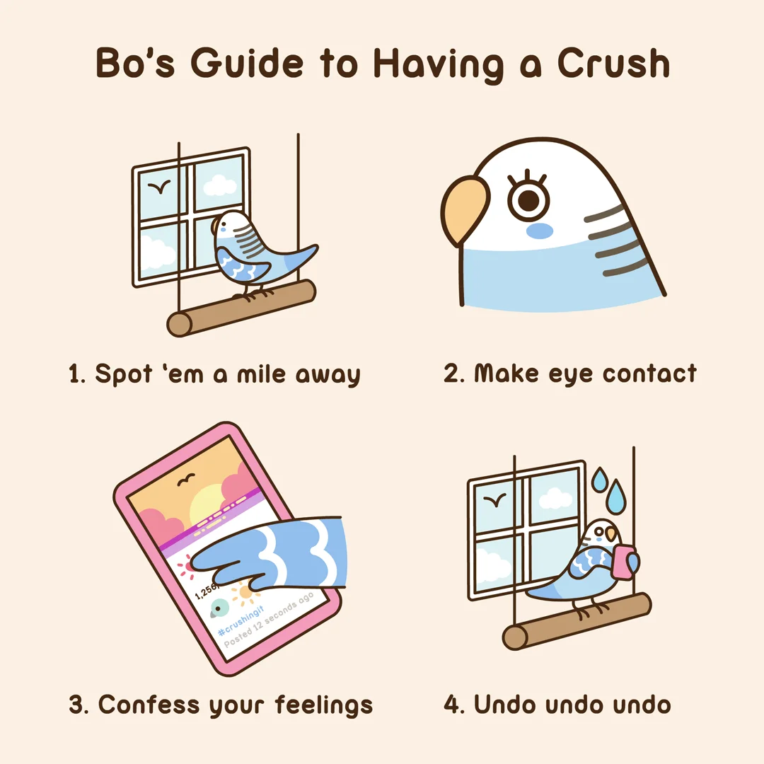 202568_Bos-Guide-to-Having-a-Crush_TWITTER-TUMBLR.webp