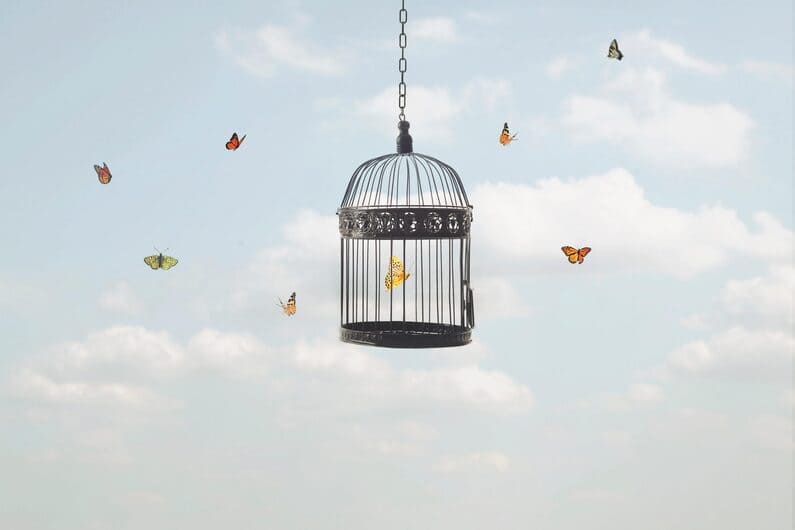 www.flyingfreenow.com