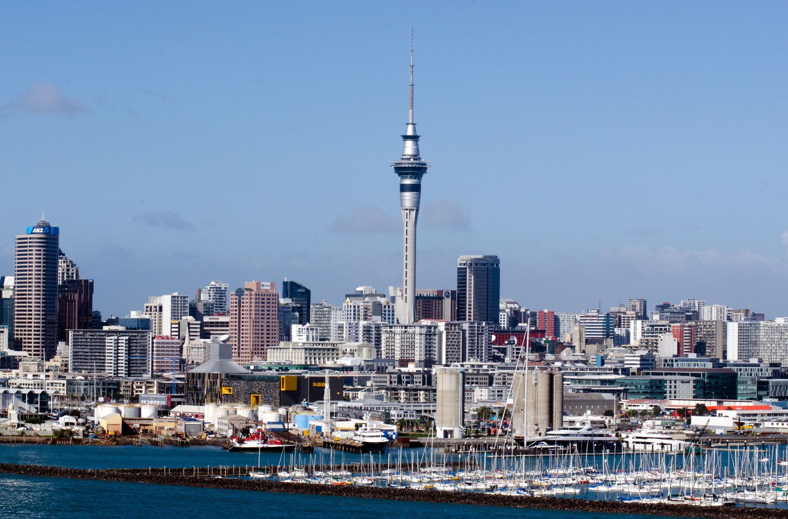 skyline-Auckland-New-Zealand-Westhaven-Marina.jpg