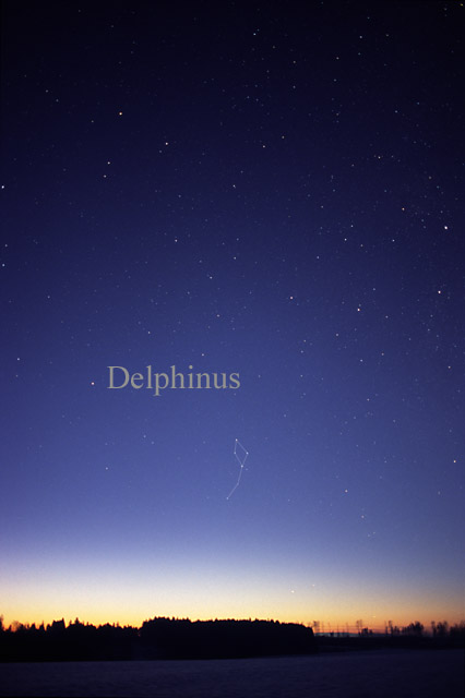 DelphinusCC.jpg