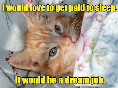 cheezburger-image-10512470784