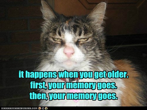 a-senior-moment