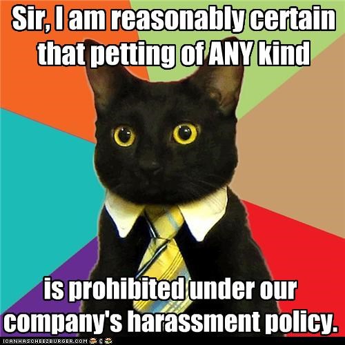business-cat-didnt-you-go-to-the-training-seminar
