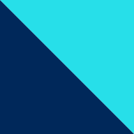 intjem.biomedcentral.com