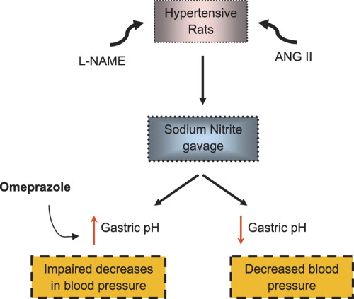 www.sciencedirect.com