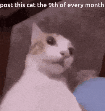 tenor.gif