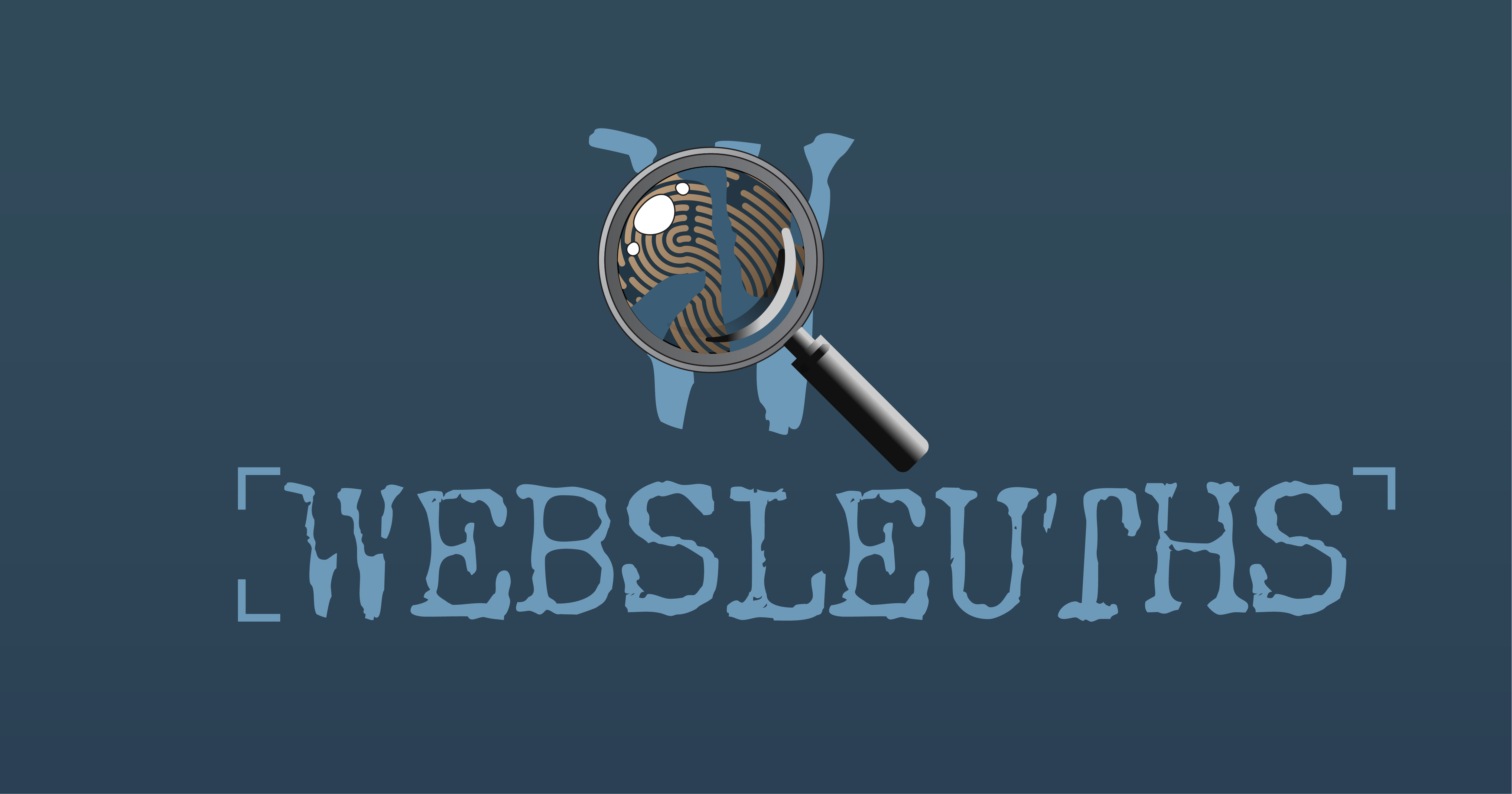www.websleuths.com