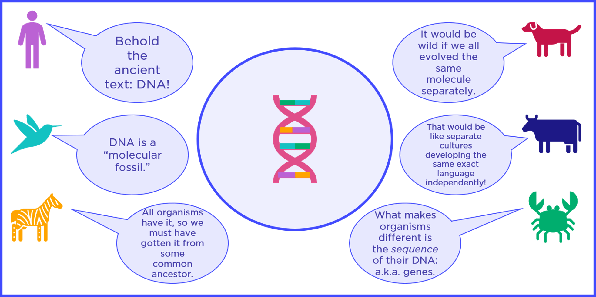 dna_is_universal.png
