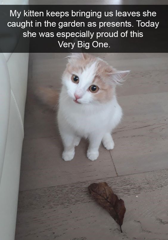 41ca521e8b91477a804f8739f0928ebb.jpg