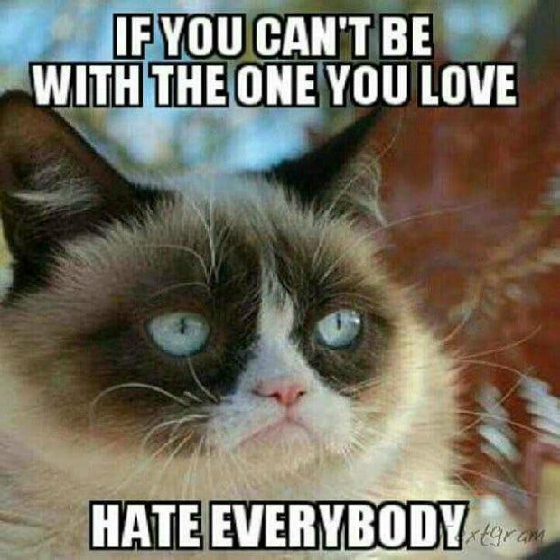 grumpycat17.jpg