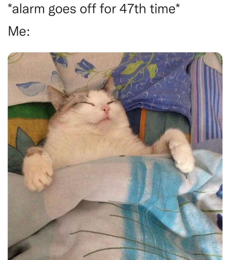 alarm-goes-off-47th-time