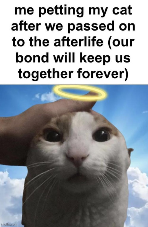 6sqs9h.jpg
