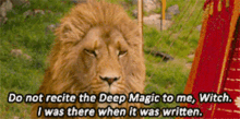 deep-magic-lion.gif[\IMG]