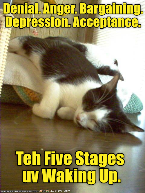 the-five-steps-of-waking-up