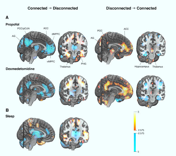 image_9204-Consciousness.jpg