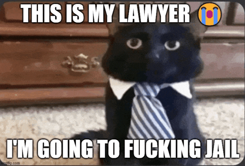 tenor.gif