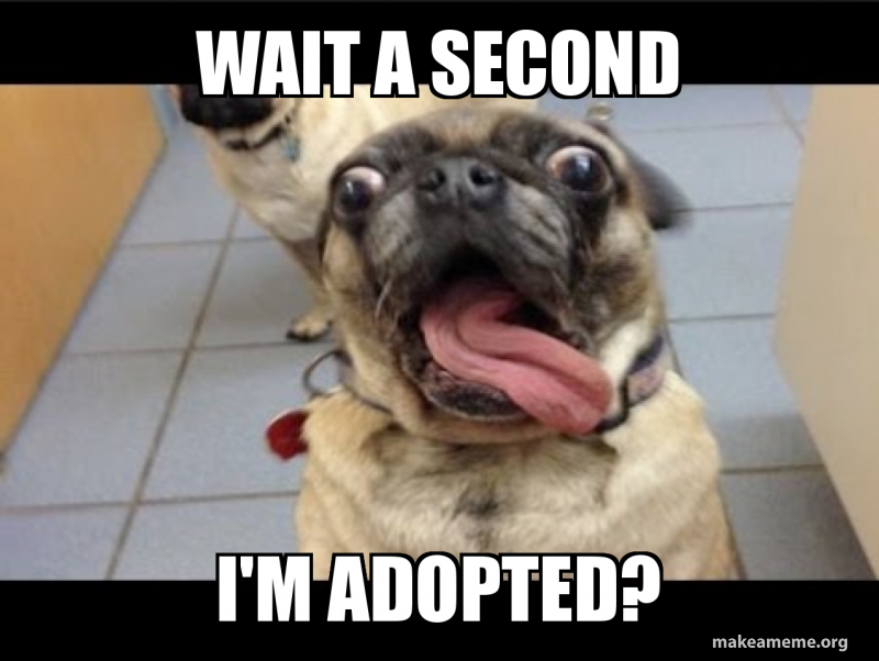 wait-a-second-5c4f39.png