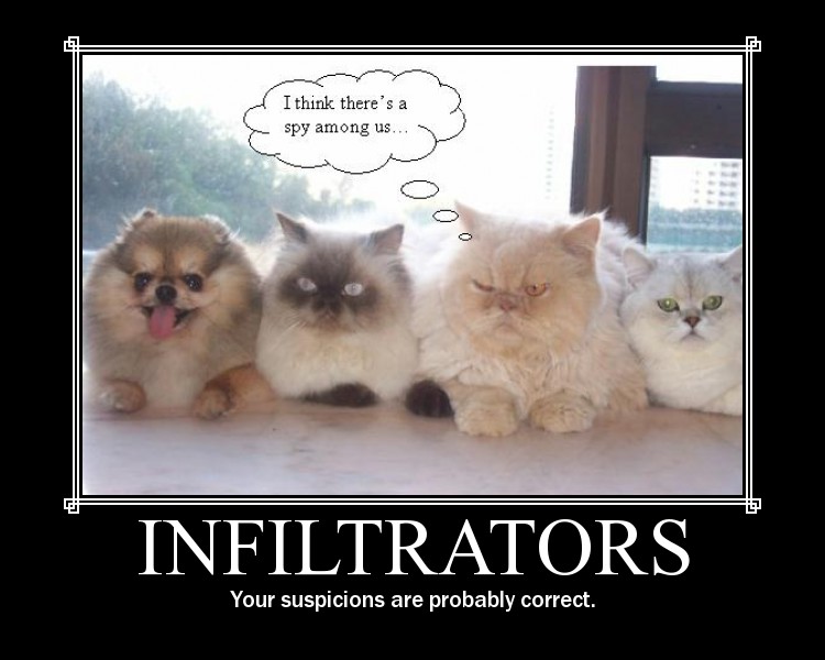 infiltrators1.jpg