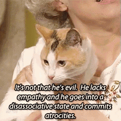 cat-lack-empathy.png