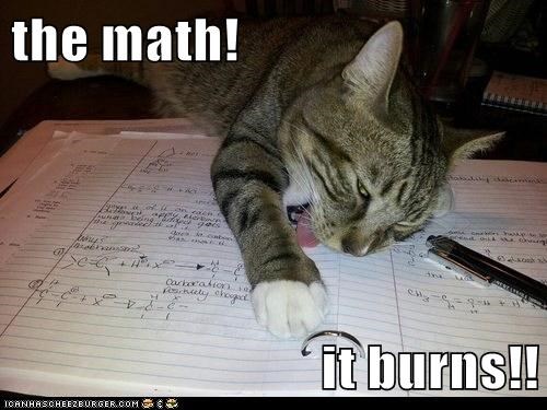 the-math-it-burns
