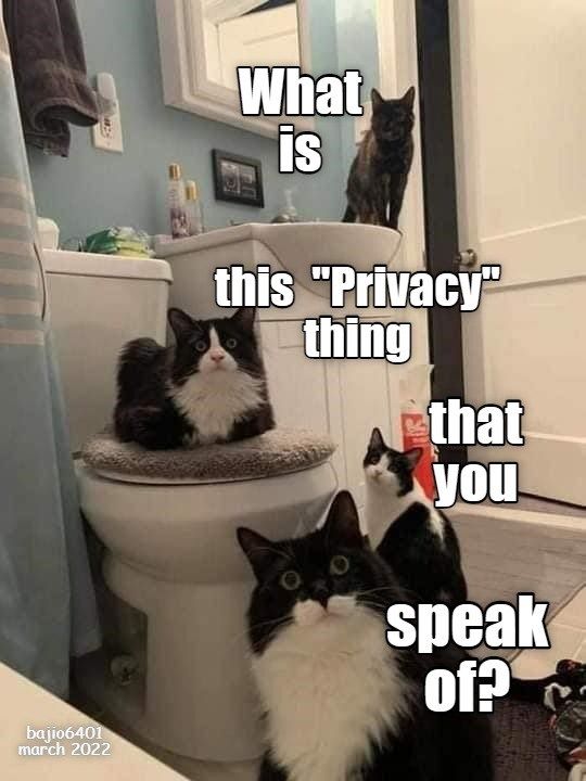 34573950e571963d03d57f05ad25d26f.jpg