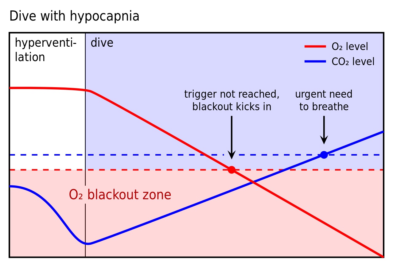 227476_Shallow_water_blackout_diagram_2_revised.jpg